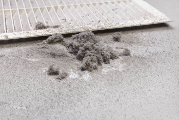 Best HVAC Duct Inspection Services  in Sugarland Run, VA